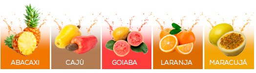 Distribuidor de Concentrado de Frutas sem Açúcar